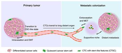 Circulating Tumor Cells: From Theory to Nanotechnology-Based Detection